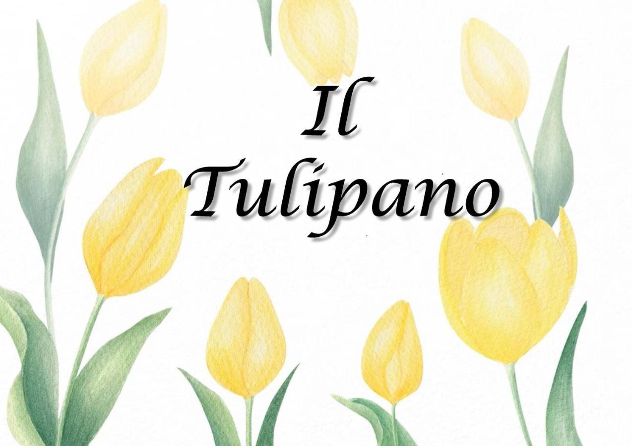 Il Tulipano Apartman Trezzano Rosa Kültér fotó